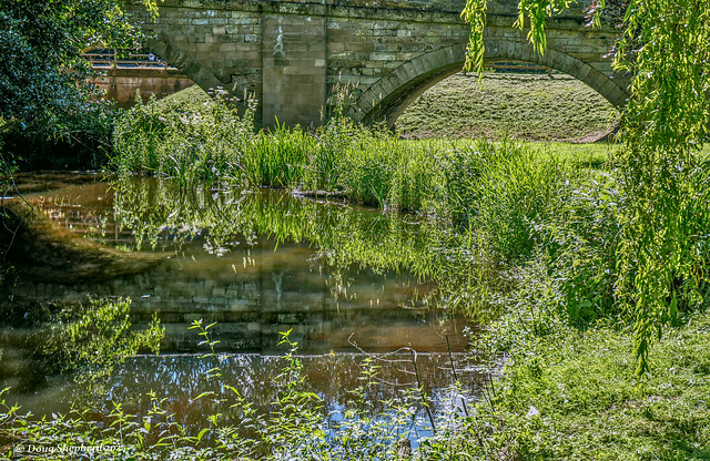 Down by the Derwent - (Spot the Heron)