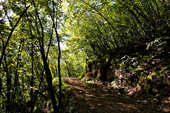 Herbstwanderung auf dem Höhenweg von Tramin nach Kurtatsch