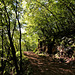 Herbstwanderung auf dem Höhenweg von Tramin nach Kurtatsch