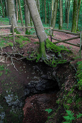 Auf dem Ernstberg in Hinterweiler in der Eifel