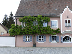Birnenhaus
