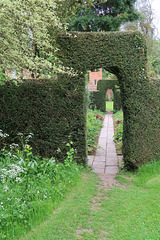 Yew arches