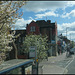 Cowley Road in spring
