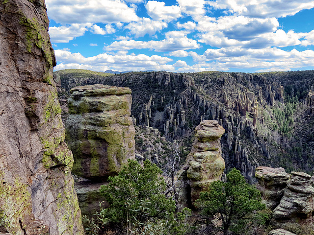 Chiricahua National Monument