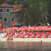 Red Beach Umbrellas