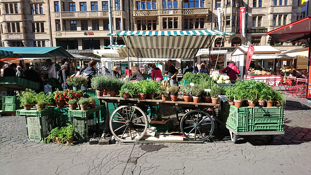 Rathausmarkt Basel