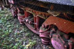 locomotive-spider