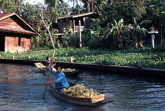 Bananentransport in den Khlongs zum Schwimmenden Markt in Bankok 1981