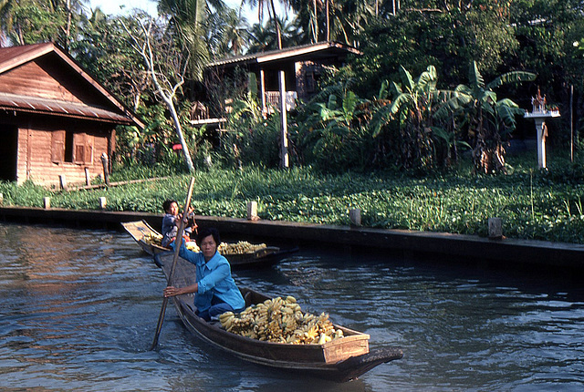 Bananentransport in den Khlongs zum Schwimmenden Markt in Bankok 1981