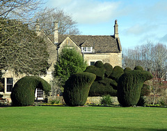 Topiary ~ The Courts Garden