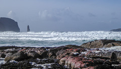 LR-1010721