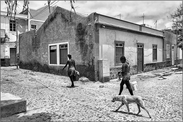 Retour des femmes et du chien.