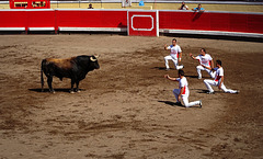 Bilbao 2016 recortadores