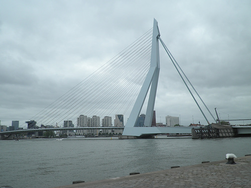 ipernity: Erasmusbrugg /-brücke /-bridge - by Andreas Boettcher