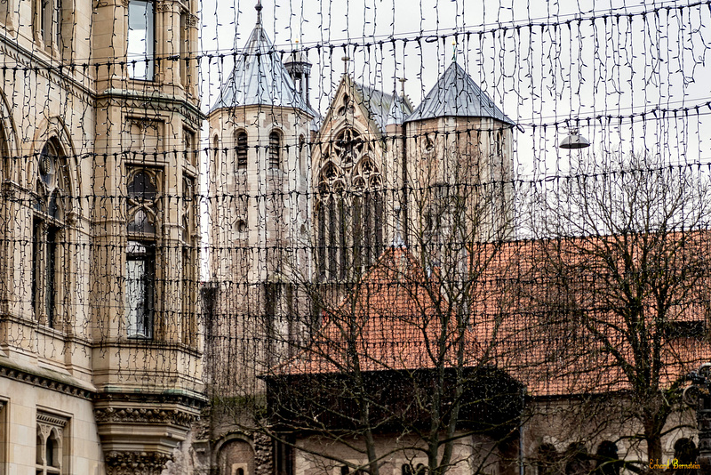 Dom, Burg und Rathaus im Netz?