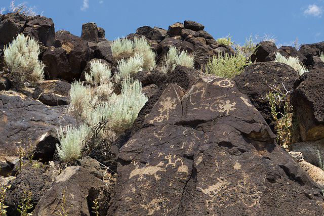 Petroglyph National Monument