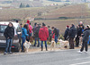 ballade canine dans le Beaujolais