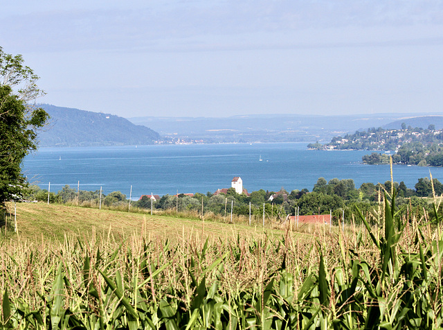 Der Bodensee