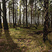Słowiński Park Narodowy (2)