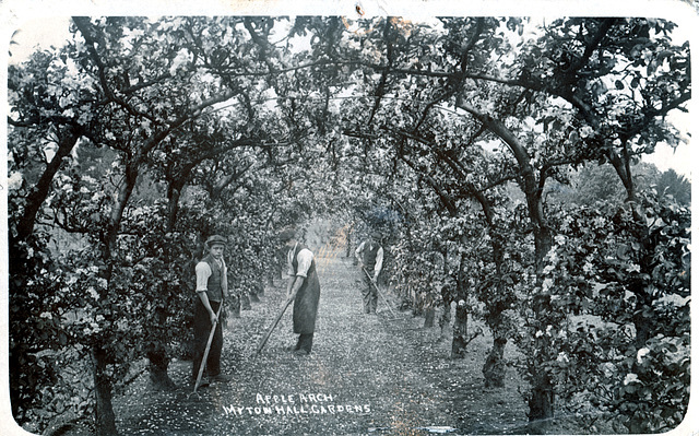 The Apple Arch, Myton Hall, West Yorkshire a view of c1903