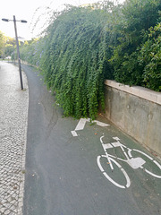 Lisbon 2018 – Overgrown bicycle path