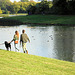 Steep green parkland silently slopes down to the lake