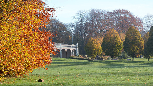 The Golden Park