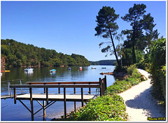 The jetty above the water - HFF The jetty above the water - HFF