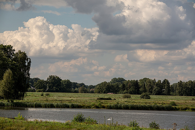 20150910 8713VRTw [D~PB] Steinhorster Becken, Delbrück