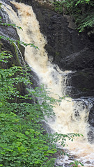 Ingleton waterfall walk