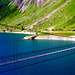 Mountains lakes SPC 6 2017 Hanging bridge over the Lake