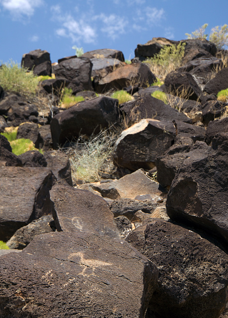 Petroglyph National Monument