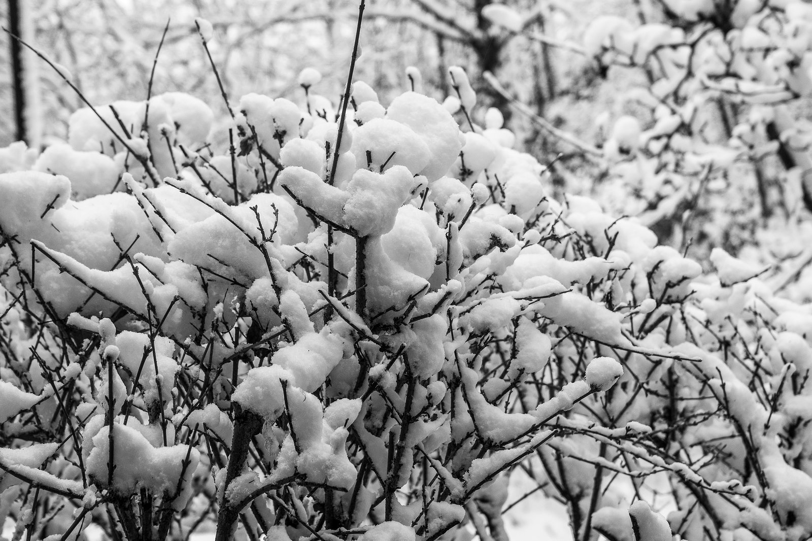 Haan - Winterimpressionen