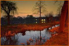 By orange street lamplight at Twilight