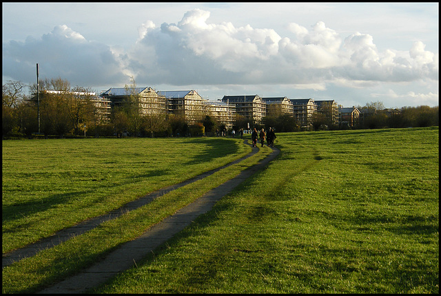 eyesore university blocks