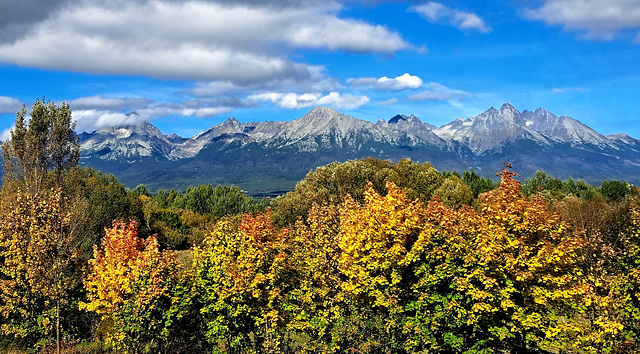 One autumn day