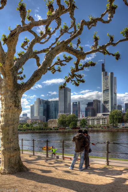 Frankfurt Skyline