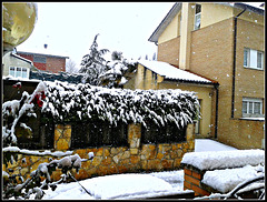 Invierno 6