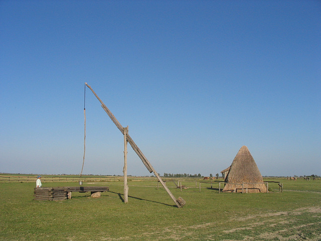 Hongrie/Hungary/Magyarorszàg : au coeur de la Puszta