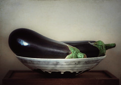 still life with aubergines