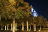 Burj Al Arab Behind The Palms