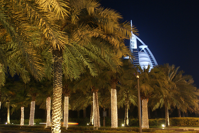 Burj Al Arab Behind The Palms