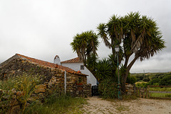 Mata Pequena, Portugal