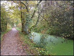 green river stream