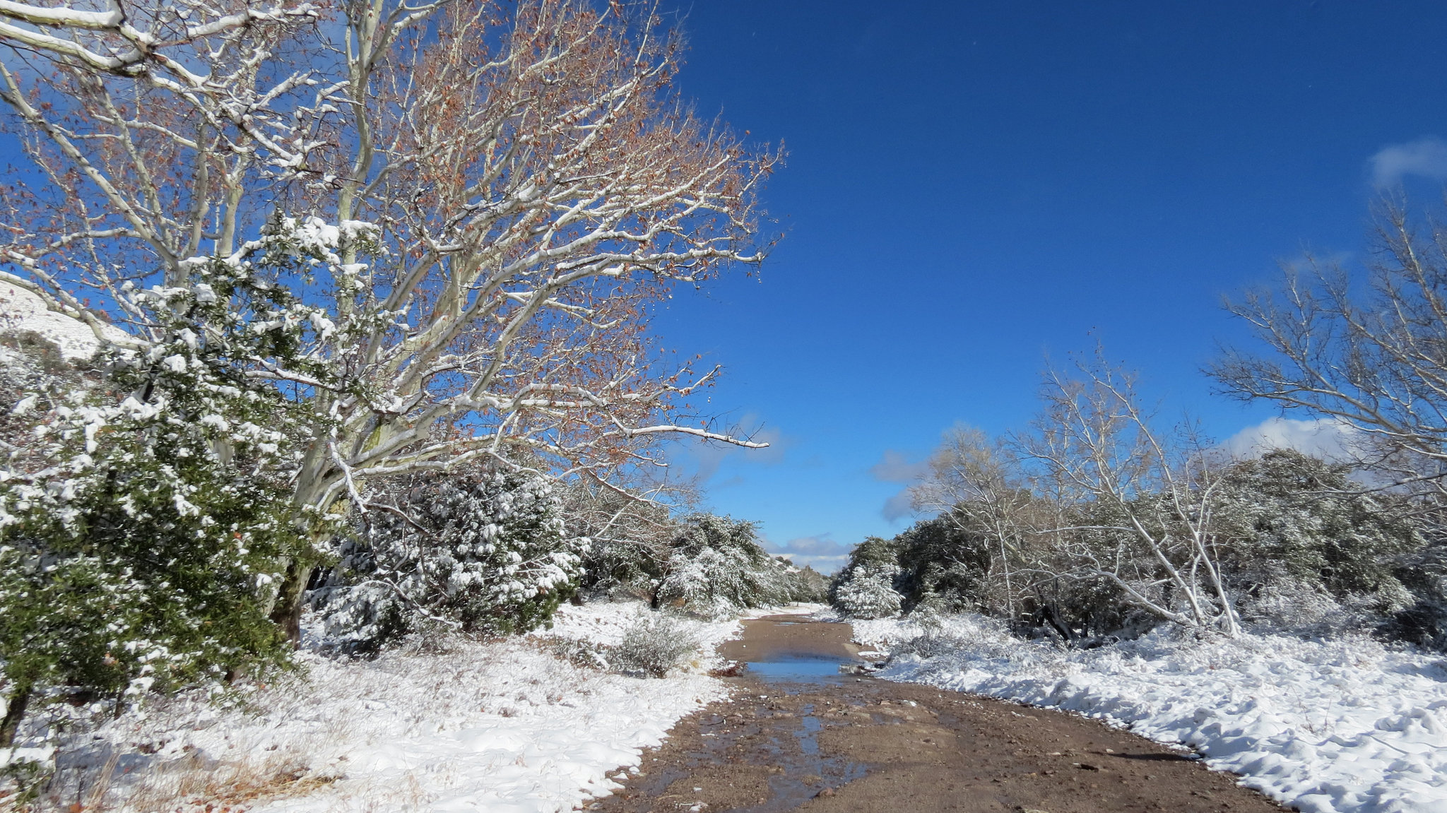 Huachuca Canyon Road