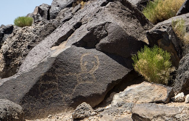 Petroglyph National Monument