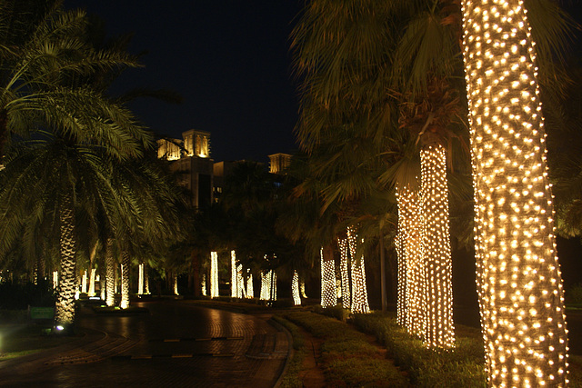 Illuminated Palms