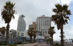 Tel-Aviv, Isrotel Tower and Orchid Park Plaza