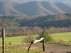 HFF.... An "oldy but goody":)))  Mountains of North Georgia /  Tennessee