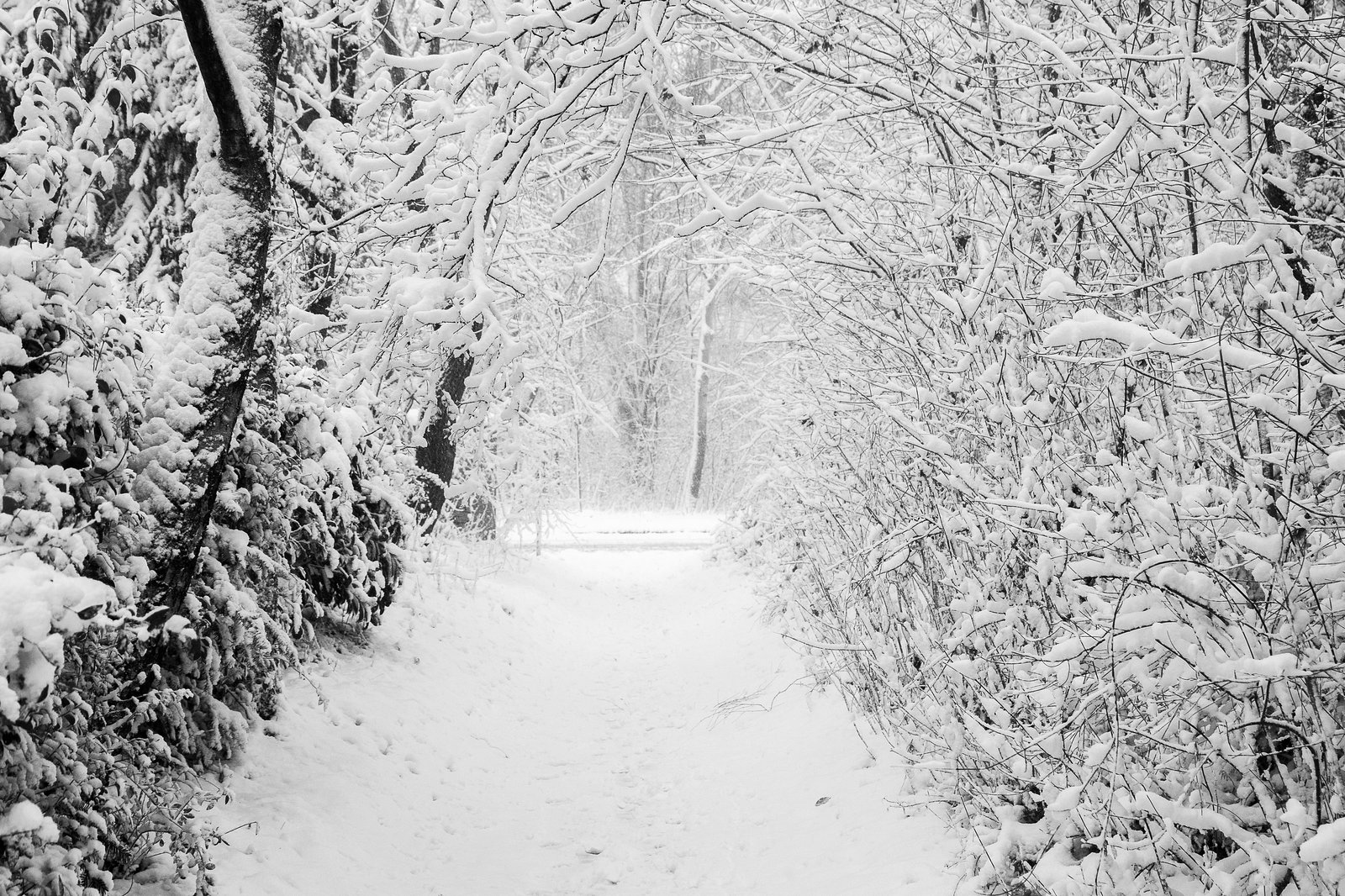 Haan - Winterimpressionen